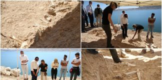 Anadolu’nun göbeğinde ‘fosil’ hazinesi!