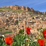 Rus tur operatörlerinin Türkiye için yeni hedefi: Mezopotamya turları Rus turistleri Madrid yerine