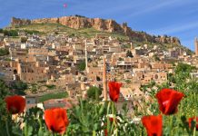 Rus tur operatörlerinin Türkiye için yeni hedefi: Mezopotamya turları Rus turistleri Madrid yerine