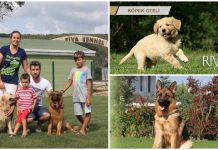 Köpek Oteli konseptine sahip Riva’s Club