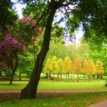 “Pandemi sürecinde herkes açık havada ve doğada bulunmak istiyor”
