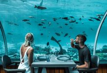 Dünyadaki ve Türkiye’deki tematik restoran örnekleri