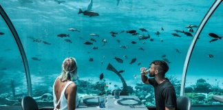 Dünyadaki ve Türkiye’deki tematik restoran örnekleri