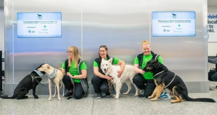 covid-19 testi köpek