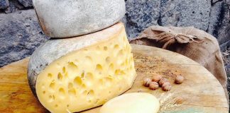 Kars dünyanın sayılı peynir rotalarından biri olacak