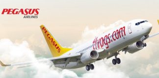 Pegasus iki ülkeye daha uçuşlarını durdurdu Pegasus, Hatay Havalimanı'ndan tahliye seferlerine devam edecek