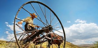 TEMA’ya 10 fidan bağışlayanlara Yüzler Atlası hediye