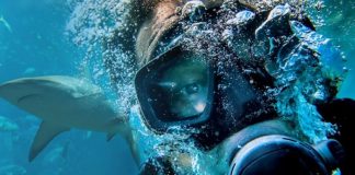 250 Bin Dolarlık Titanik Turu Sarsıldı: Tur Denizaltısı Kayboldu 250 Bin Dolarlık Titanik Turu Sarsıldı: Tur Denizaltısı Kayboldu