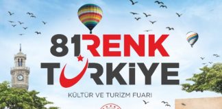 81 renk, birlikte ahenk