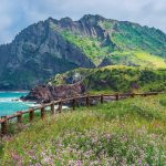 Hayallerin ülkesi Güney Kore gezi rehberi