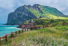 Hayallerin ülkesi Güney Kore gezi rehberi