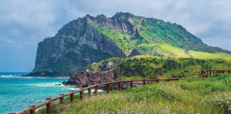 Hayallerin ülkesi Güney Kore gezi rehberi