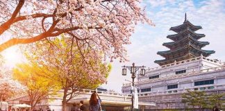 Güney Kore’de turist çekmek için sıra dışı yöntem