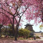 Mayıs ayında Güney Kore’ye gitmek için 10 neden!