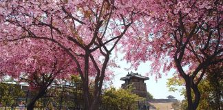 Mayıs ayında Güney Kore’ye gitmek için 10 neden!