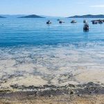 Müsilaj hangi sahilleri etkiliyor?