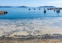 Müsilaj hangi sahilleri etkiliyor?