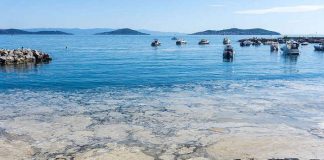 Turizm Sezonu Öncesi Müsilaj Tehlikesi Geri Döndü