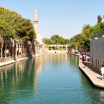 Mezopotamya’nın Kalbinde Şanlıurfa’da Kültür Yolu Festivali Başladı