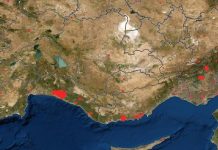 Türkiye’de yangınlarda son durum