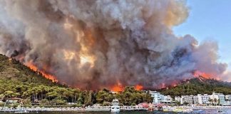 Türkiye’deki yangınlar Rus turistlerin talebini nasıl etkiledi?