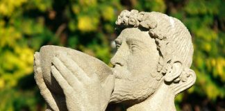 Bir Gastronomi Yolculuğu: Şarap Mitolojisi