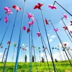 Dark turizm ve Güney Kore DMZ Turları