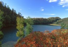 Karadeniz’deki tabiat parkı için otel yapım ve işletme ihalesi