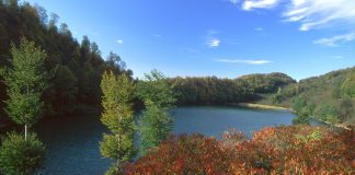 Karadeniz’deki tabiat parkı için otel yapım ve işletme ihalesi
