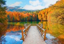 Sonbaharın keyfini çıkarabileceğiniz bütçe dostu rotalar