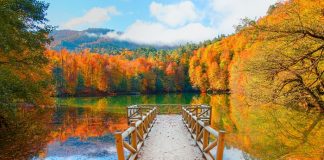 Sonbaharın keyfini çıkarabileceğiniz bütçe dostu rotalar