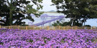 BM Dünya Turizm Örgütü’nden Kore’ye iki ödül