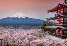 Japonya’ya seyahat edecekler için yeni açıklama