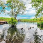 Sapanca bungalov evlerde huzurlu bir tatil önerisi