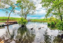 Sapanca bungalov evlerde huzurlu bir tatil önerisi