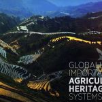 GIAHS nedir? Tarım-Kültür-Turizm ilişkisi
