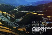 GIAHS nedir? Tarım-Kültür-Turizm ilişkisi