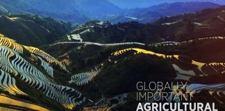 GIAHS nedir? Tarım-Kültür-Turizm ilişkisi