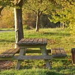 İstanbul’da en güzel 7 piknik yeri Piknik Alanları Doğayla İç İçe Huzurlu Anlar