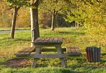 İstanbul’da en güzel 7 piknik yeri Piknik Alanları Doğayla İç İçe Huzurlu Anlar