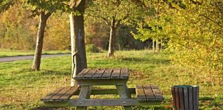 İstanbul’da en güzel 7 piknik yeri Piknik Alanları Doğayla İç İçe Huzurlu Anlar