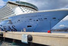 Bodrum, tarihinin en büyük yolcu gemisini karşıladı