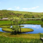 Bingöl Turizmde Yeni Döneme Giriyor: Kentpark Projesiyle Termal ve Sağlık Turizmi Atağı