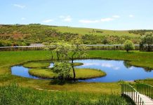 Bingöl Turizmde Yeni Döneme Giriyor: Kentpark Projesiyle Termal ve Sağlık Turizmi Atağı