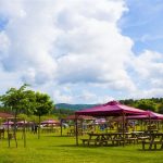 Masumlar Apartmanı’nın çekildiği piknik alanı Piknik Alanları Doğayla İç İçe Huzurlu Anlar