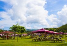 Masumlar Apartmanı’nın çekildiği piknik alanı Piknik Alanları Doğayla İç İçe Huzurlu Anlar