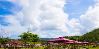 Masumlar Apartmanı’nın çekildiği piknik alanı Piknik Alanları Doğayla İç İçe Huzurlu Anlar