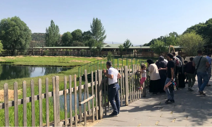 Yüzen adalar tehlike ile karşı karşıya