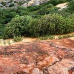 Erzincan’da doğa harikası 3 rota Erzincan’da doğa harikası 3 rota: Otlukbeli Gölü, Konarlı Şelalesi, Abreng Aziz David Kilisesi.