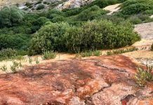 Erzincan’da doğa harikası 3 rota Erzincan’da doğa harikası 3 rota: Otlukbeli Gölü, Konarlı Şelalesi, Abreng Aziz David Kilisesi.